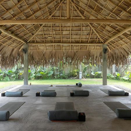 Lotus Surf And Wellness Daire Ahangama Dış mekan fotoğraf