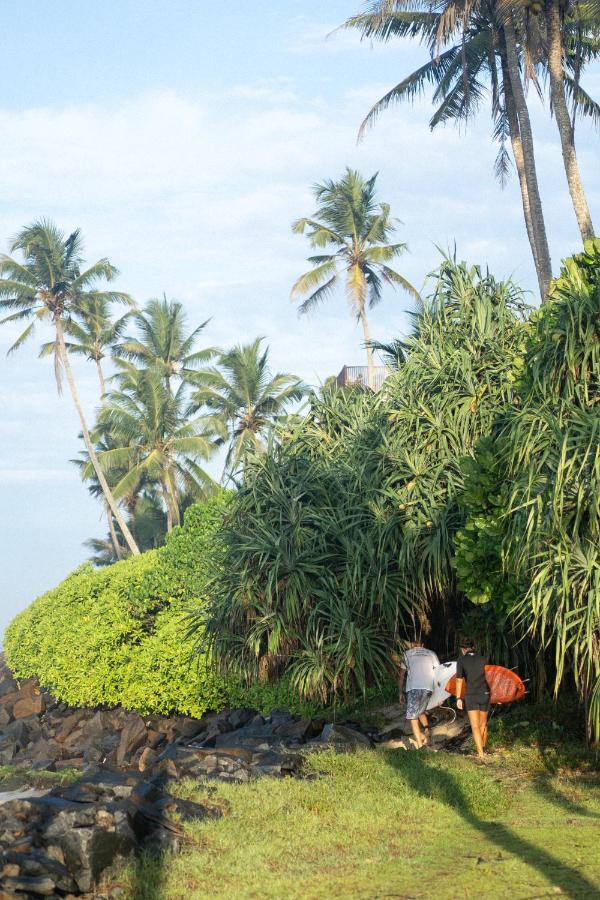 Lotus Surf And Wellness Daire Ahangama Dış mekan fotoğraf